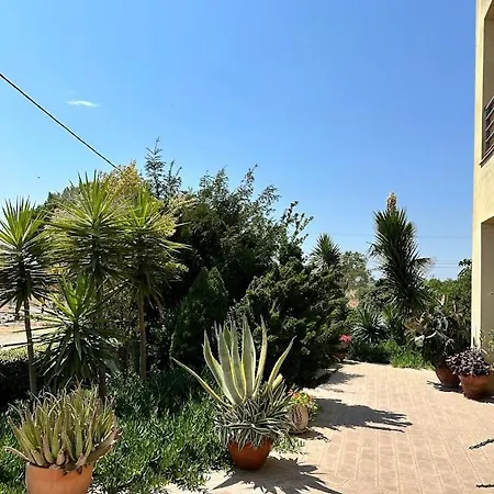 Comfortable إبانومي